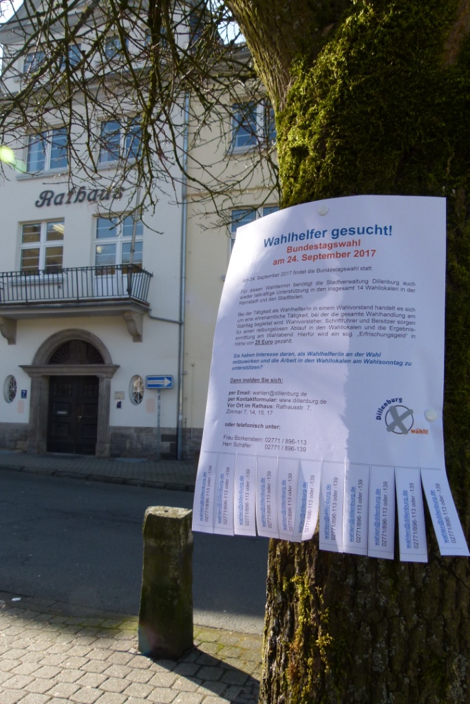 An einem Baum im Vordergrund hängt ein Zettel "Wahlhelfer gesucht", von dem sich interessierte die Adresse des Wahlamtes abreißen können. Im Hintergrund sieht man den Eingang des Rathauses der Oranienstadt Dillenburg.