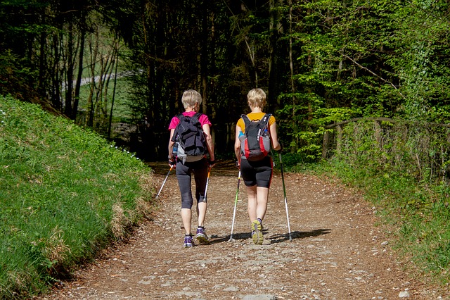 Zwei Personen mit Walking-Stöcken laufen einen Waldweg entlang Quelle: Pixabay
