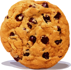 Ein Keks, engl.: Cookie