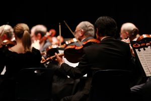 Das Bild zeigt schwarz gekleidete Orchestermusiker (Streicher). Der Betrachter sieht die Musiker von hinten.