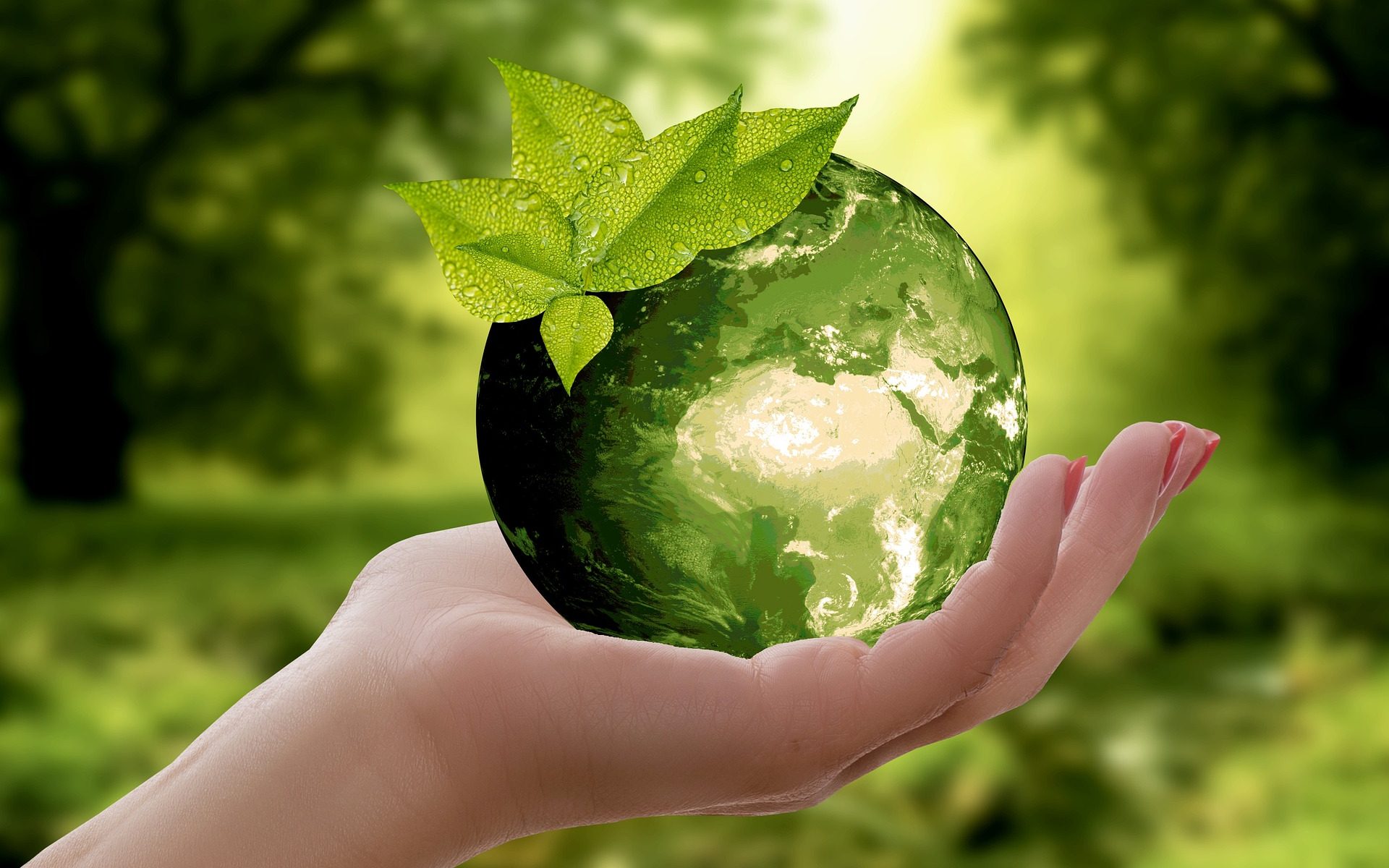 Das Bild dient als Navigationselement und führt zum Artikel "Städtischer Umweltpreis" Eine Hand hält eine grüne Weltkugel, auf der Blätter sind. Im Hintergrund sind verschwommen Bäume erkennbar. Quelle Pixabay