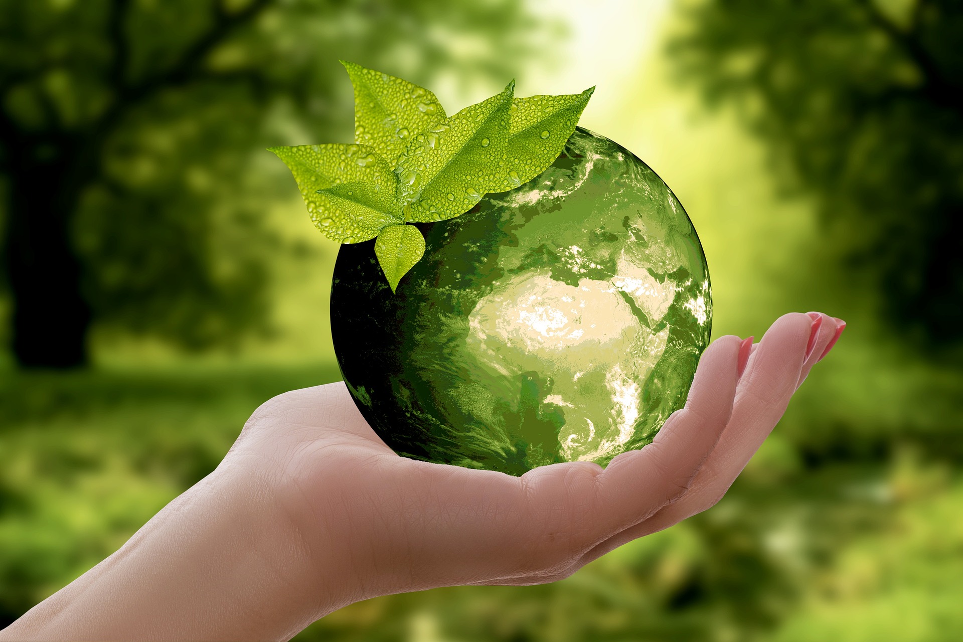 Das Bild dient als Navigationselement und führt zum Artikel "Städtischer Umweltpreis" Eine Hand hält eine grüne Weltkugel, auf der Blätter sind. Im Hintergrund sind verschwommen Bäume erkennbar. Quelle Pixabay