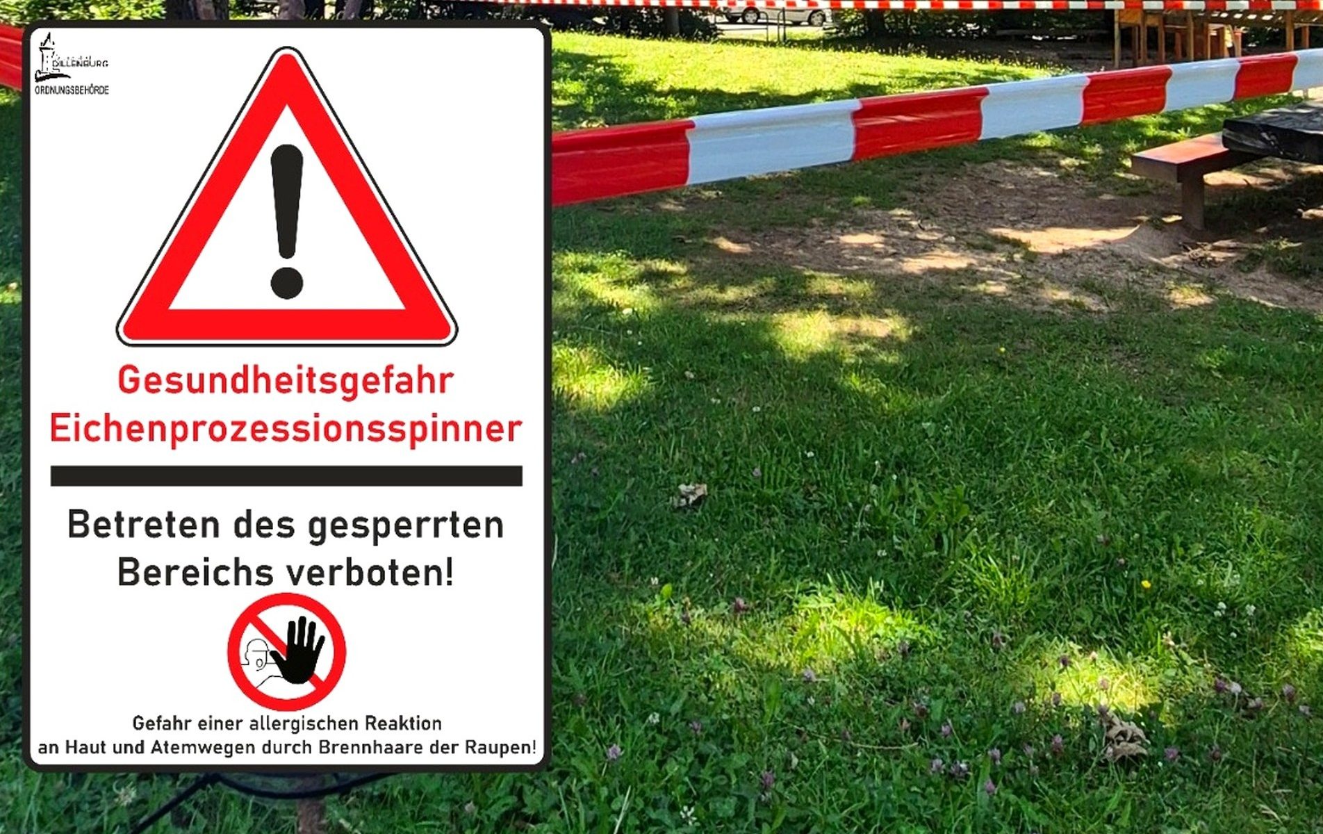 Foto eines abgesperrten Gebietes mit einem Hinweisschild auf den Eichenprozessionsspinner davor. Mit Klick aufs Bild geht´s zum ganzen Artikel.