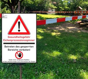 Foto eines abgesperrten Gebietes mit einem Hinweisschild auf den Eichenprozessionsspinner davor. Mit Klick aufs Bild geht´s zum ganzen Artikel.