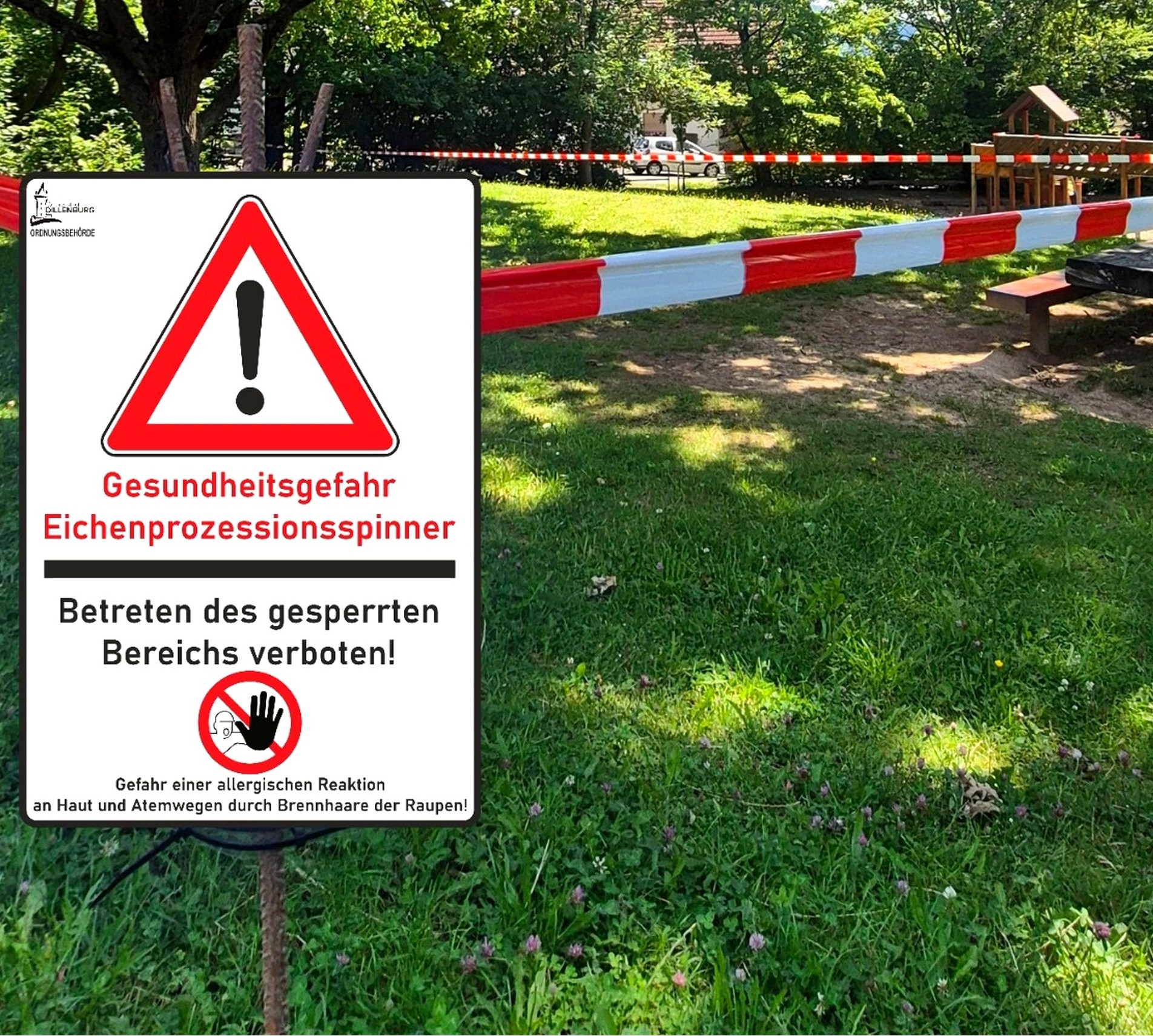 Foto eines abgesperrten Gebietes mit einem Hinweisschild auf den Eichenprozessionsspinner davor. Mit Klick aufs Bild geht´s zum ganzen Artikel.