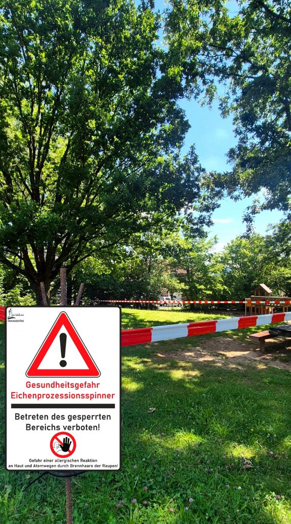 Foto eines abgesperrten Gebietes mit einem Hinweisschild auf den Eichenprozessionsspinner davor. 