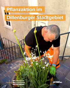 Mit Klick auf das Bild geht es zum ganzen Artikel.