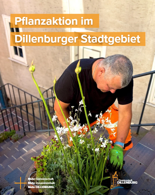 Mit Klick auf das Bild geht es zum ganzen Artikel.