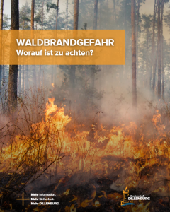 Mit Klick auf das Bild geht es zum ganzen Artikel.