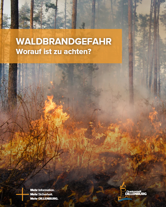 Mit Klick auf das Bild geht es zum ganzen Artikel.